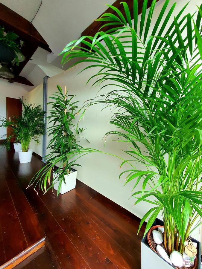 Suite Loft Zabierzow 外观 照片